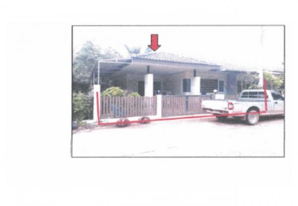 ��ҹ ���ž���ʧ ����ɮ��ҹ�