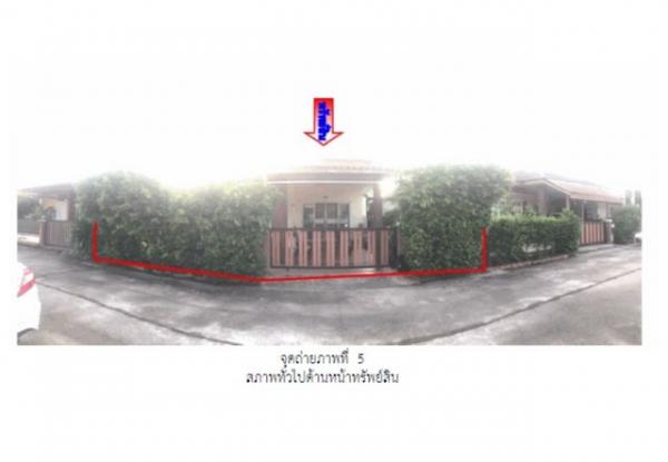 ��ҹ���� �� compos2566