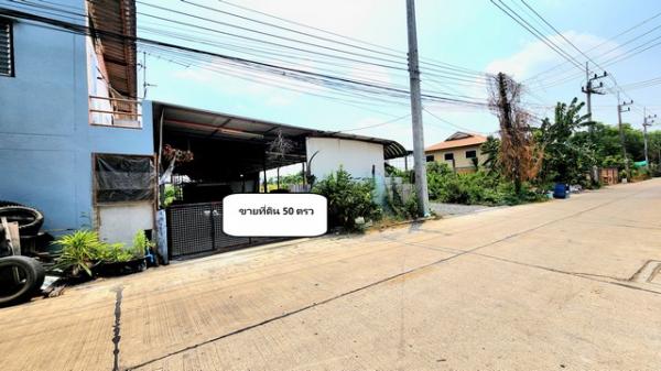 ���Թ�ѹ˹�ҷ���˹�� ���١��