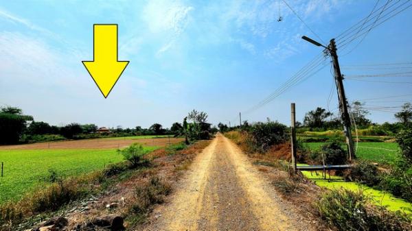 ���١�� �� janejane