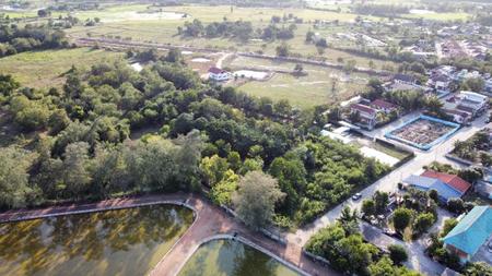 �ź��� �� incube