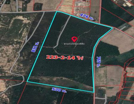 ��ªź��� �� incube