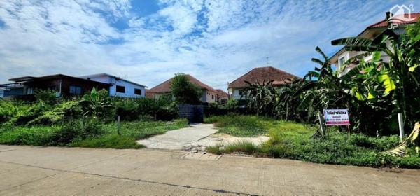 ���١�� �� janejane