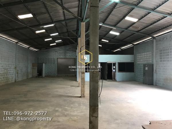 �ҧ� �� Kong property