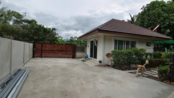 ������ �� sopa