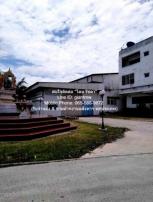 �ç�ҹ �ҧ���