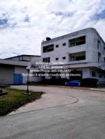 �ç�ҹ �ҧ��� 3,339 ���ҧ��