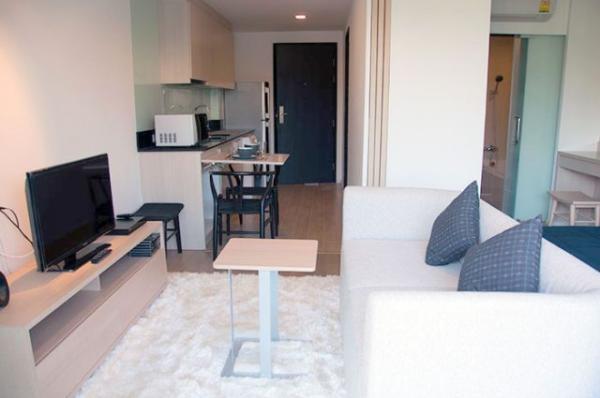 �Ң�ѭ �Ź�����