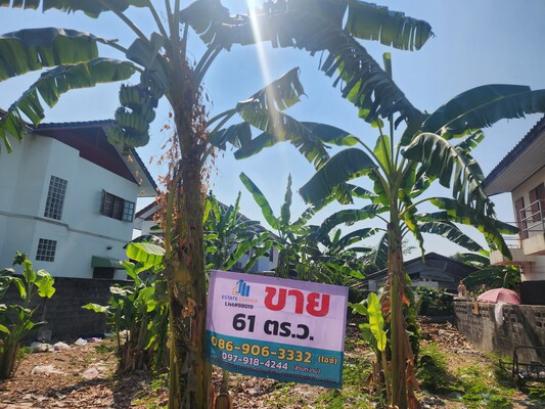 �ҧ���� �� Estate Corner