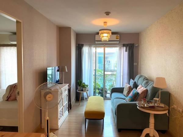 DD Asset �Ѻ��������ѧ�������Ѿ��