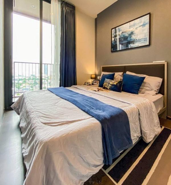 DD Asset �Ѻ��������ѧ�������Ѿ��