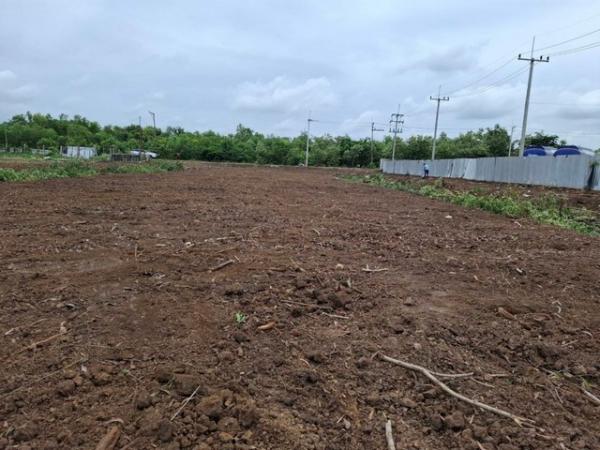 ˹ͧ���� �� kulchaya1