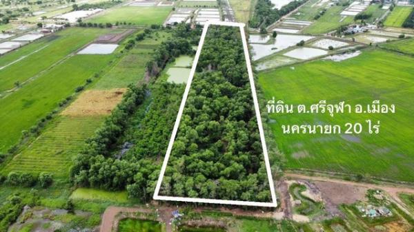 ��ù�¡ �� kulchaya1