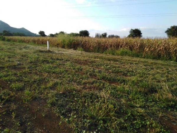 ที่ดิน 21 ไร่ ที่ดิน 21 ไร่