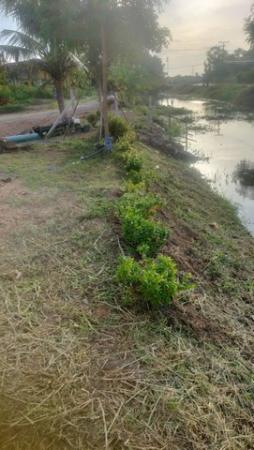 �����ҹ� �� Noname2023