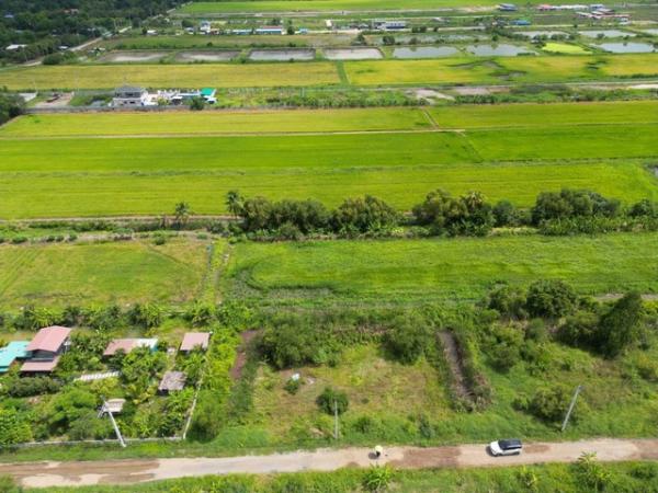 ˹ͧ�͡ �� kulchaya1