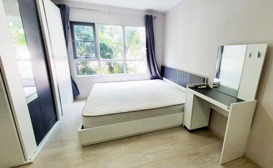 �͹�BTS ����ͧ