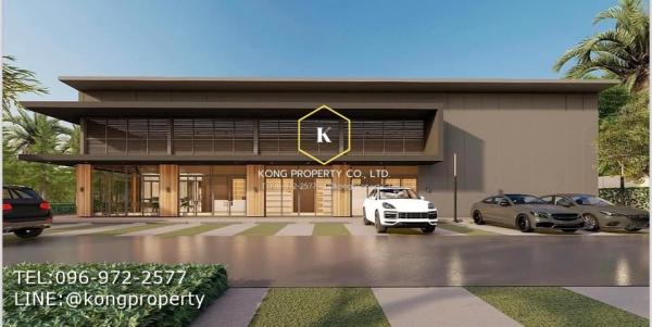 ⡴ѧ��û�� �� Kong property