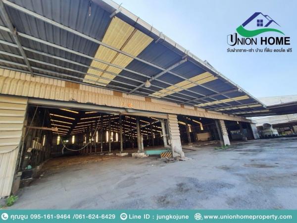 �����¹��� ���˹����ѧ�������Ѿ��