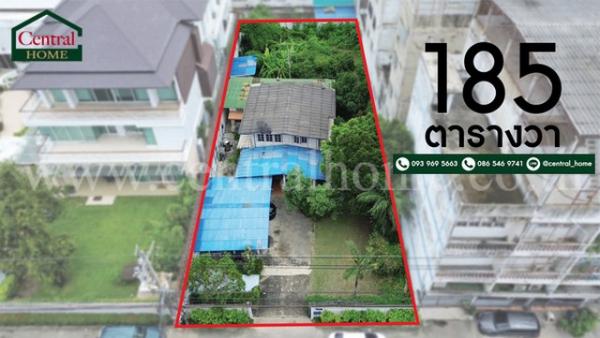 ��ا෾ �� ����ѷ �繷��� ��� ���;������ �ӡѴ