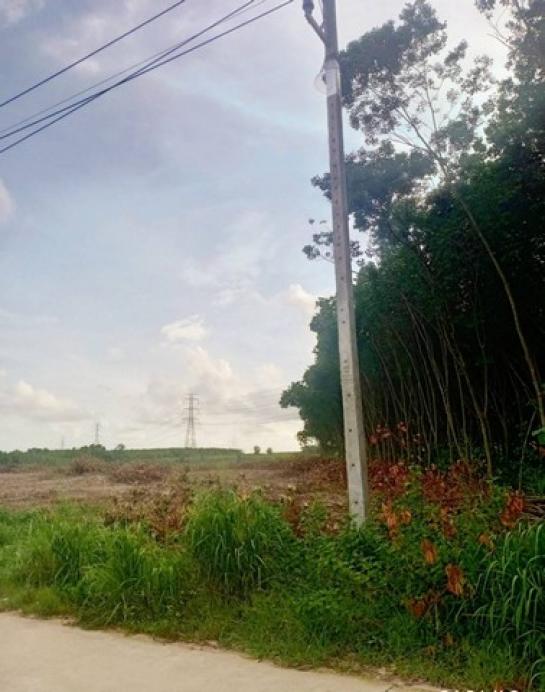 ������ͧ �� goodlada24