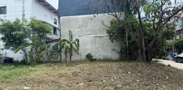 ������ �� �����¹��� ���˹����ѧ�������Ѿ��