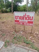 ��·��Թ �Ҥһ�С�Ȣ�� 1,590,000 �ҷ