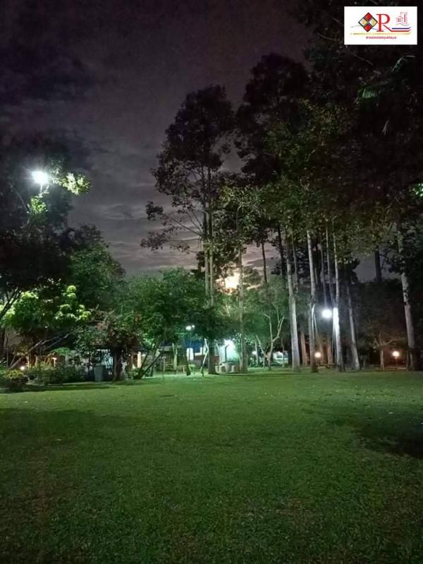 ที่ดิน pattaya ที่ดิน pattaya