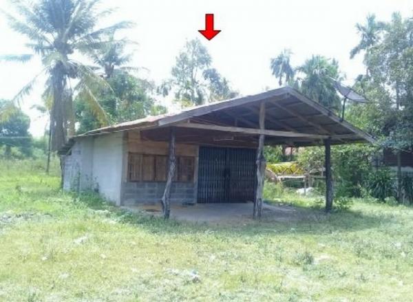 ��º�ҹ �ѹ������� �������