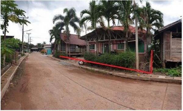 ��º�ҹ ˹ͧ�Թ���