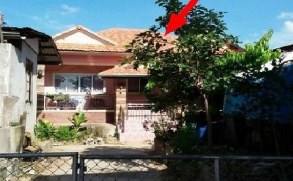 ��º�ҹ ���ͧ��ʸ���ʸ�