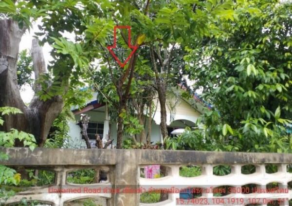 ��º�ҹ ���ͧ��ʸ���ʸ�