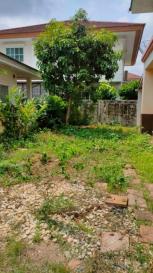 ��ҹ �ҧ�� 80 ���ҧ��