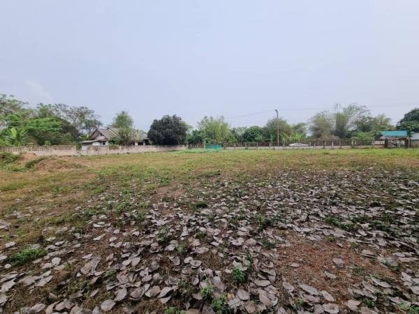 ���Թ�ҧ�� �� Sawasdee