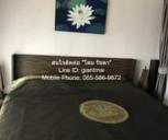 ������ �͹� �Ѳ�� ��ا෾