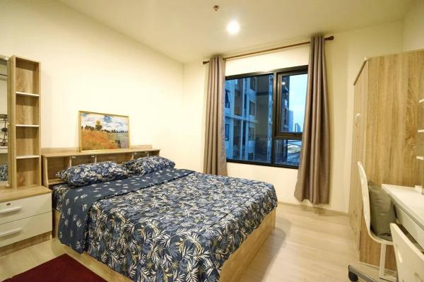 DD Asset �Ѻ��������ѧ�������Ѿ��