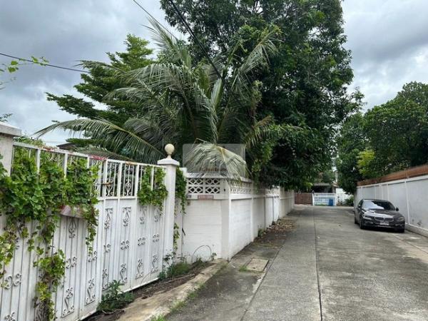 ���Թ�Ѳ�� �� asangha PL