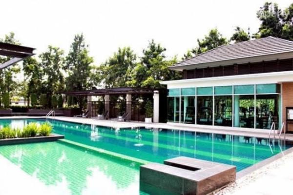 ��觤�� �� nut.allentrepreneur