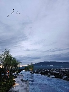 ��¤͹������� �Ҥһ�С�Ȣ�� 4,390,000 �ҷ