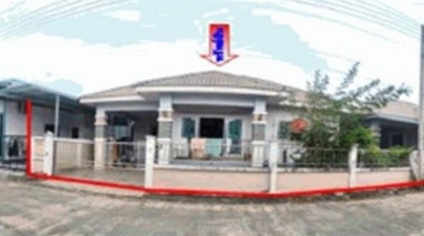 ����ɮ��ҹ� �� panaya.opalopal