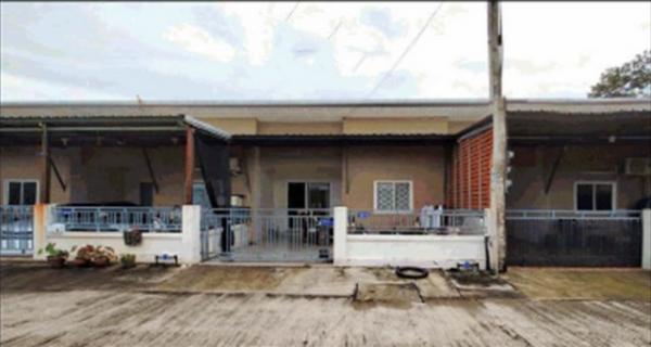 �ع�Թ �� compos2566