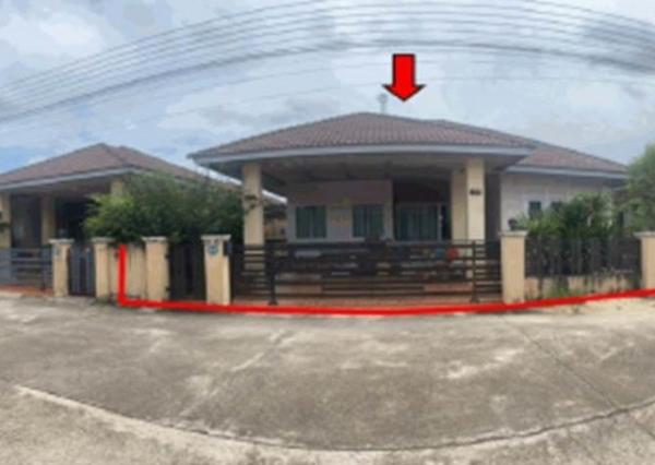 ��ҹ���� �� compos2566