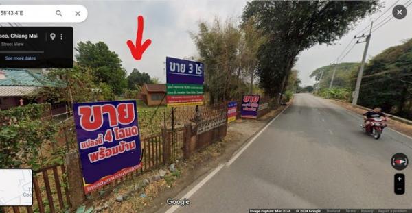 ������ �� ptipayaru1