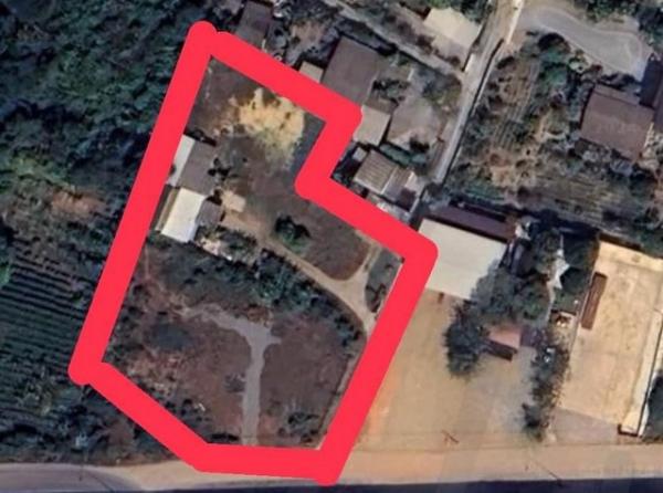 ��û�� �� sopa