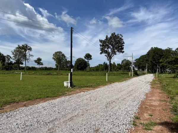 ʡŹ�� �� mairudee