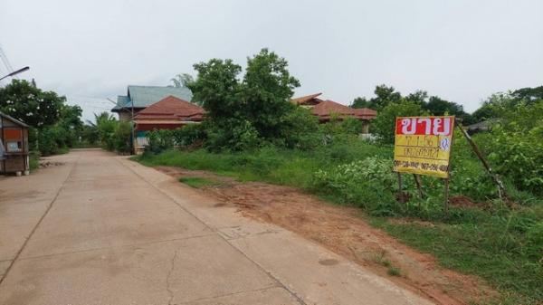 ������ �� zionasset1