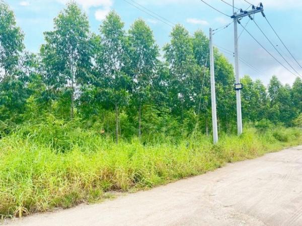 ����Ҫ� �� goodlada24