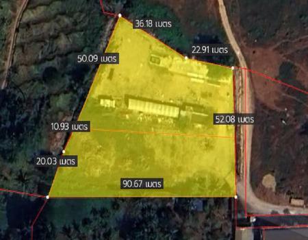 ���� �� incube