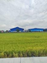 ��·��Թ �Ҥһ�С�Ȣ�� 16,000,000 �ҷ