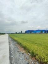 ���Թ 5 ���